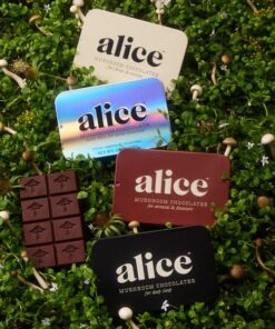 ALICE MUSHROOMS