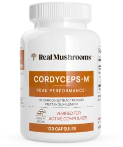 Organic Cordyceps Extract Mushroom Capsules