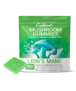 Lion’s Mane Honeydew Melon Cutleaf Mushroom CBD Gummies 1000mg