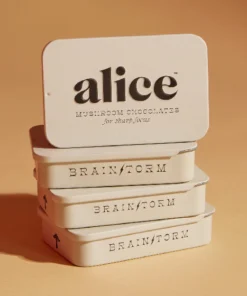 Alice Mushrooms – Brainstorm Chocolate For Sharp Focus