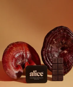 Alice Mushrooms NightCap – 4 Tins (64 Doses)